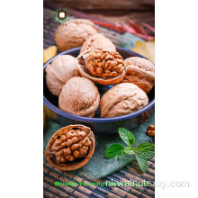 Hot Sale Goods Walnut Kernels Light Amber Helften (LAH)